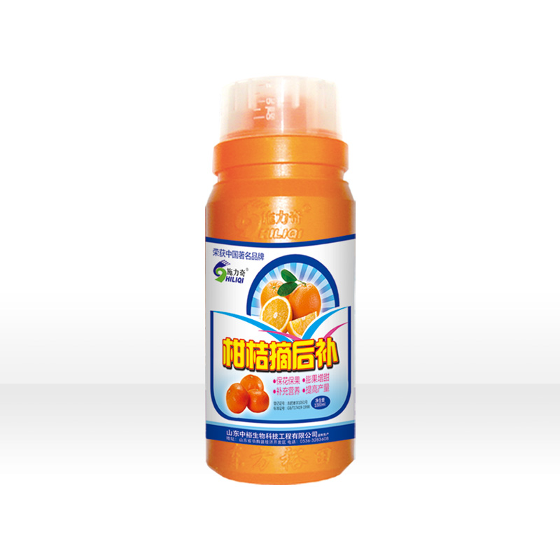 柑桔摘后補(bǔ)