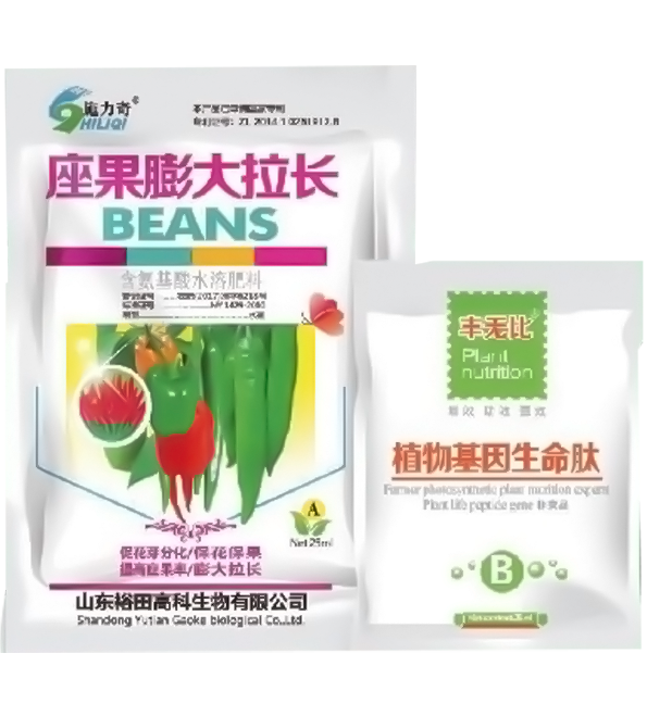 座果膨大拉長(zhǎng)